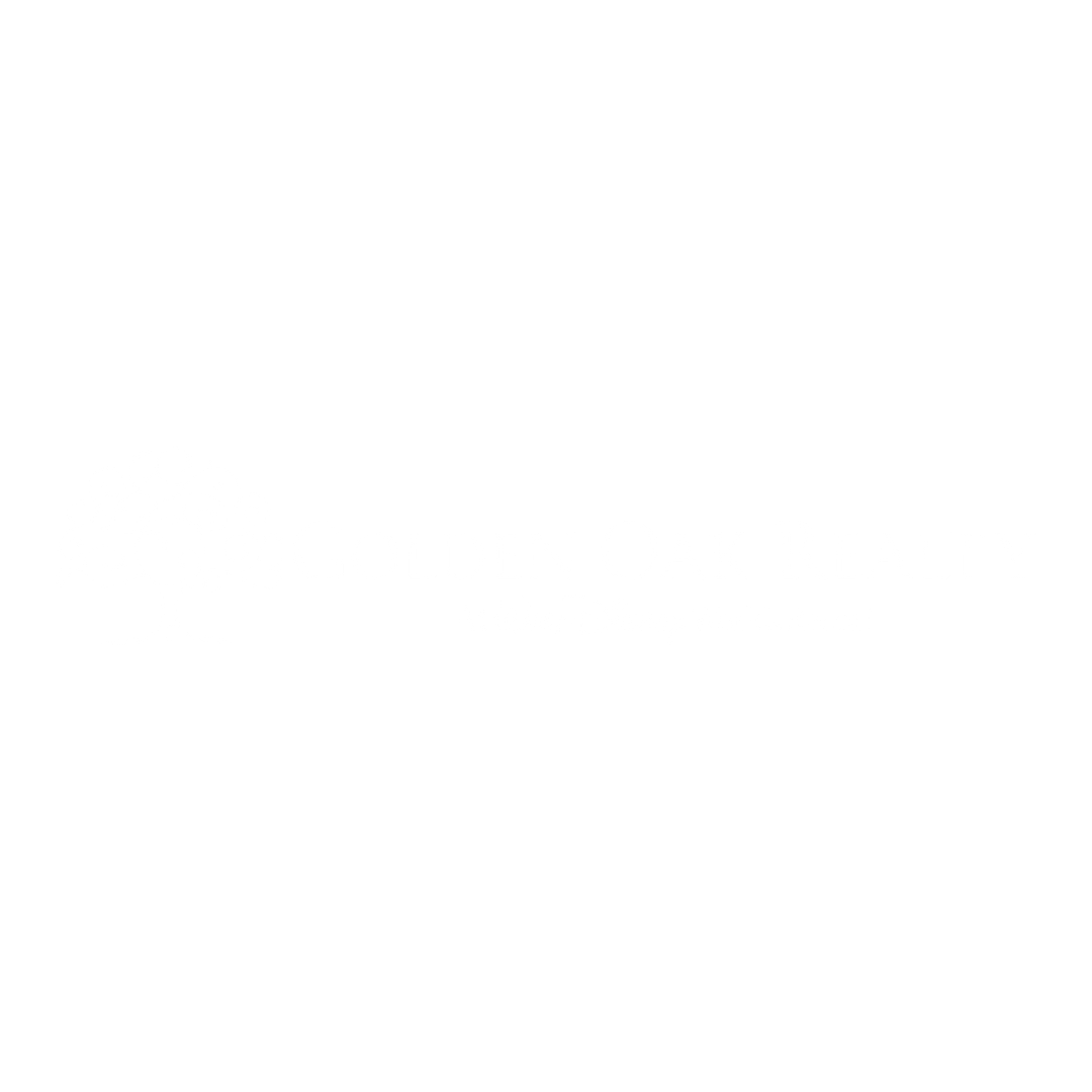 Inicio